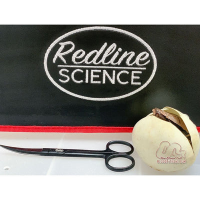 Curved Fine Point Scissors for egg cutting Tools ReptiChip LLC