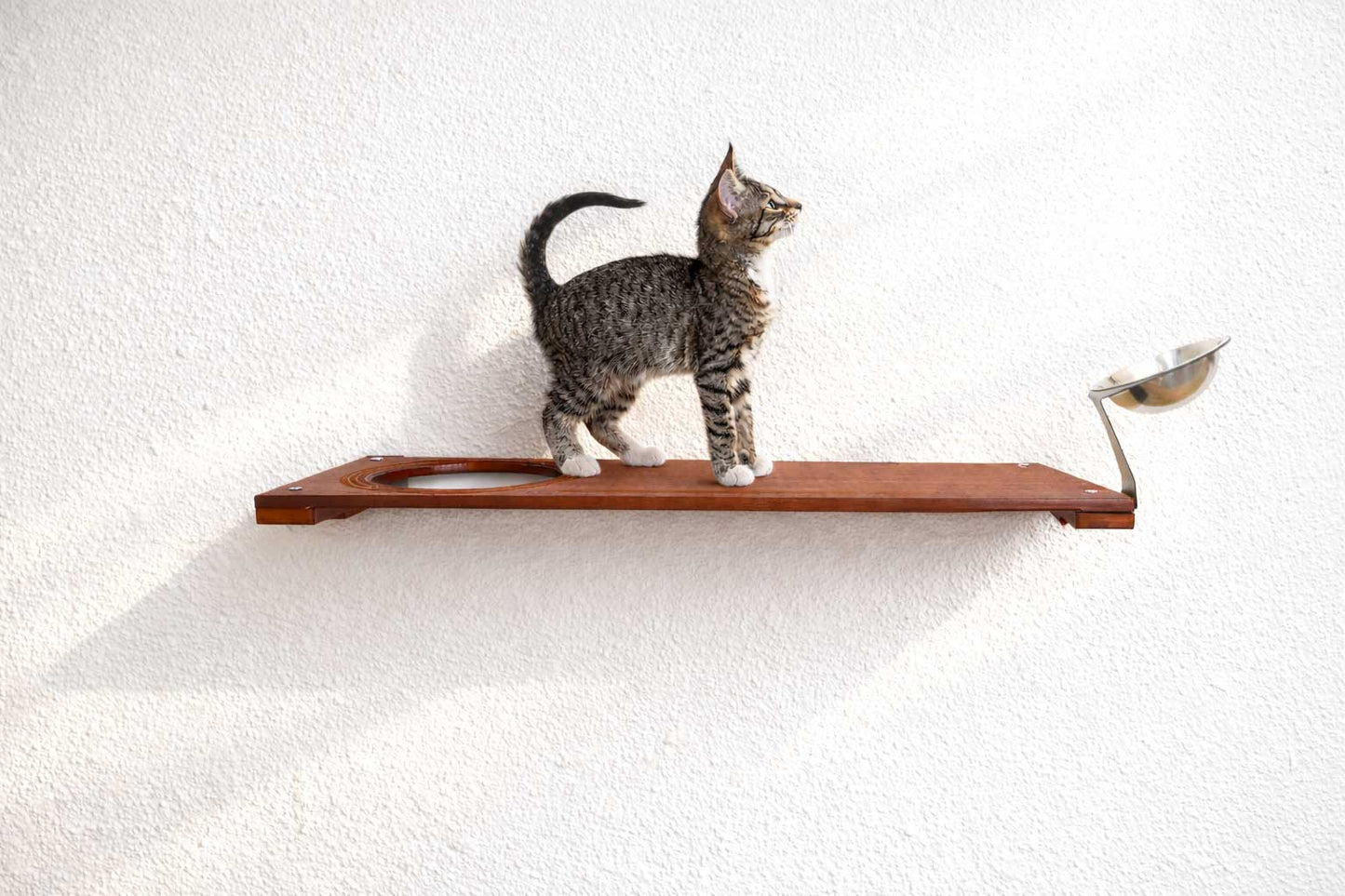 Wall Mounted Cat Feeding Shelf Elevated English Chestnut Bamboo 34" Slotted Escape Hatch Cat shelves/bed Catastrophic Creations