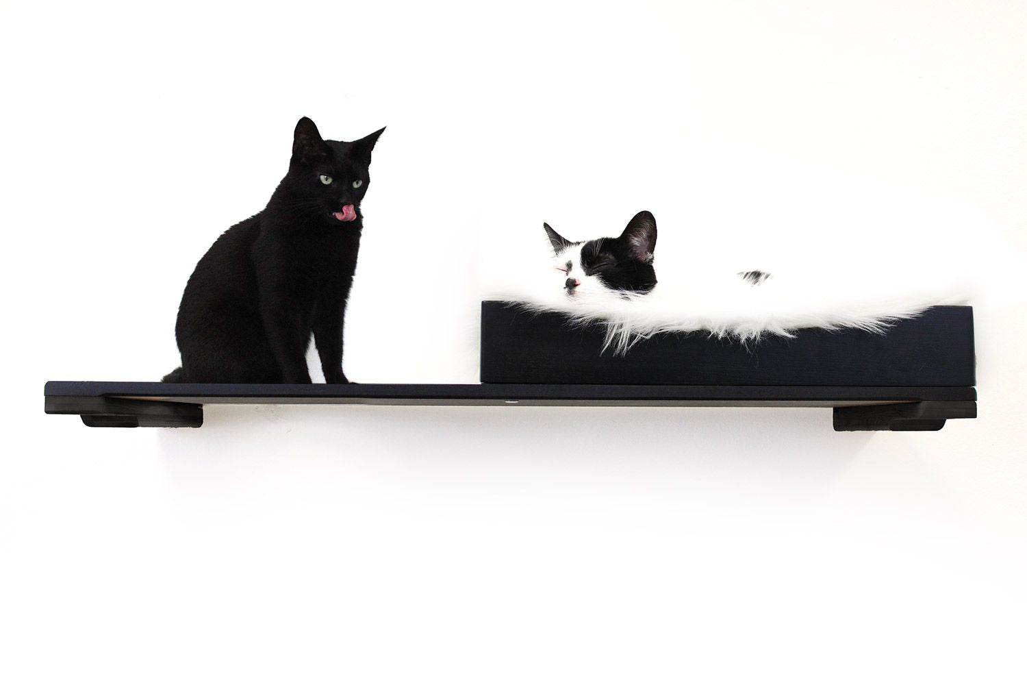 The Cat Nest Bed Onyx Bamboo Cream Plush 34" Solid Shelf Cat shelves/bed Catastrophic Creations