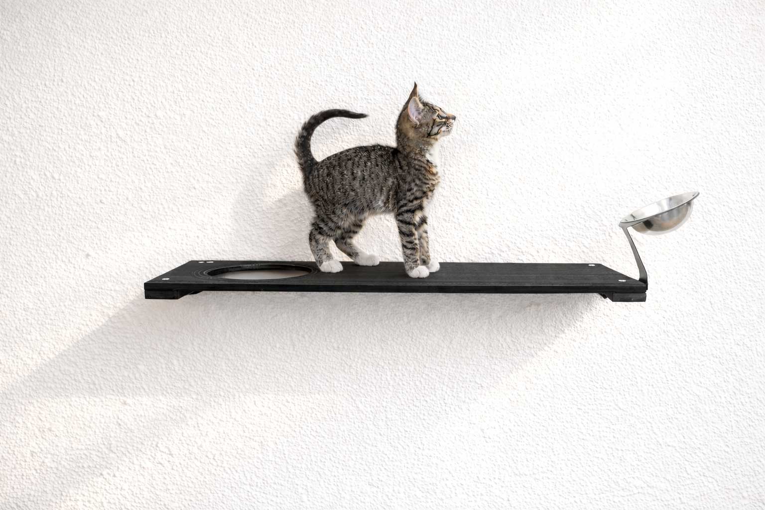 Wall Mounted Cat Feeding Shelf Elevated Onyx Bamboo 34" Slotted Shelf Cat shelves/bed Catastrophic Creations