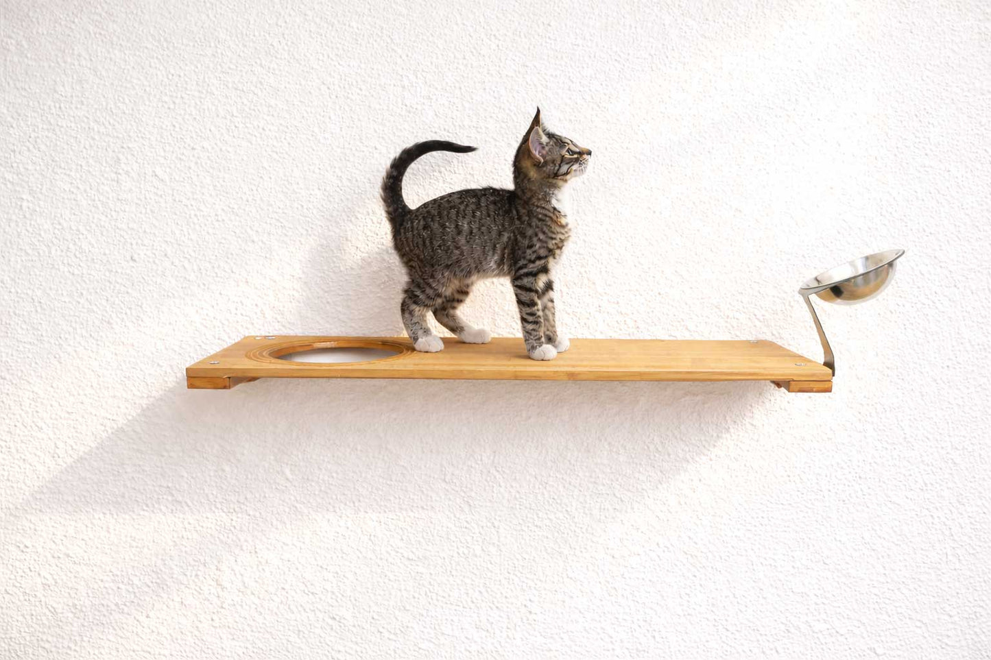 Wall Mounted Cat Feeding Shelf Elevated Onyx Bamboo 18" Solid Shelf Cat shelves/bed Catastrophic Creations