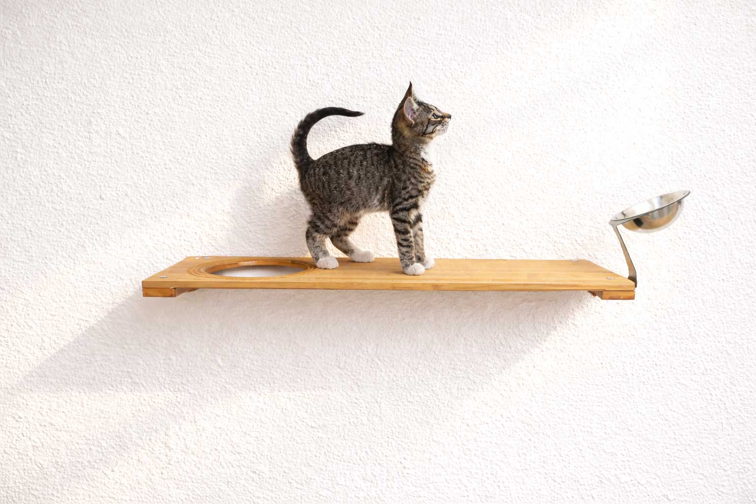 Wall Mounted Cat Feeding Shelf Elevated Onyx Bamboo 18" Solid Shelf Cat shelves/bed Catastrophic Creations