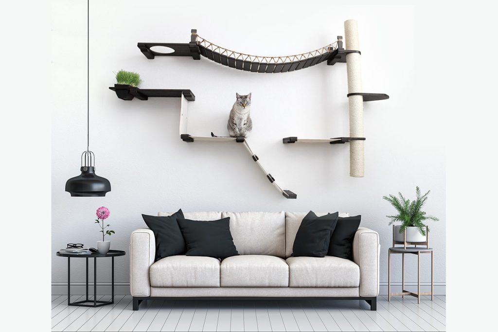 The Expedition - Cat Jungle Gym Wall System Cat Condo Catastrophic Creations