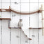 The Expedition - Cat Jungle Gym Wall System Cat Condo Catastrophic Creations