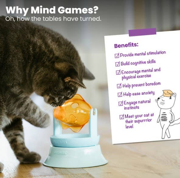 Catstages 2-in-1 Topper Spin Fish Treat Cat Toy Pet Palette Distribution