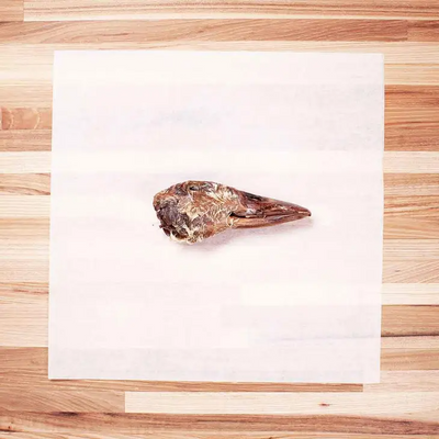 Duck Head - Farm Hounds Duck Farm Hounds