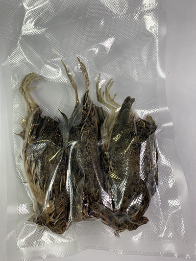 Quail Whole Pray dehydrated for Bird Dog Training or Falconry Quailz.com by Undique LLC