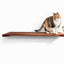 Wall Mounted Cat Feeding Shelf Elevated Onyx Bamboo 34" Slotted Escape Hatch Cat shelves/bed Catastrophic Creations