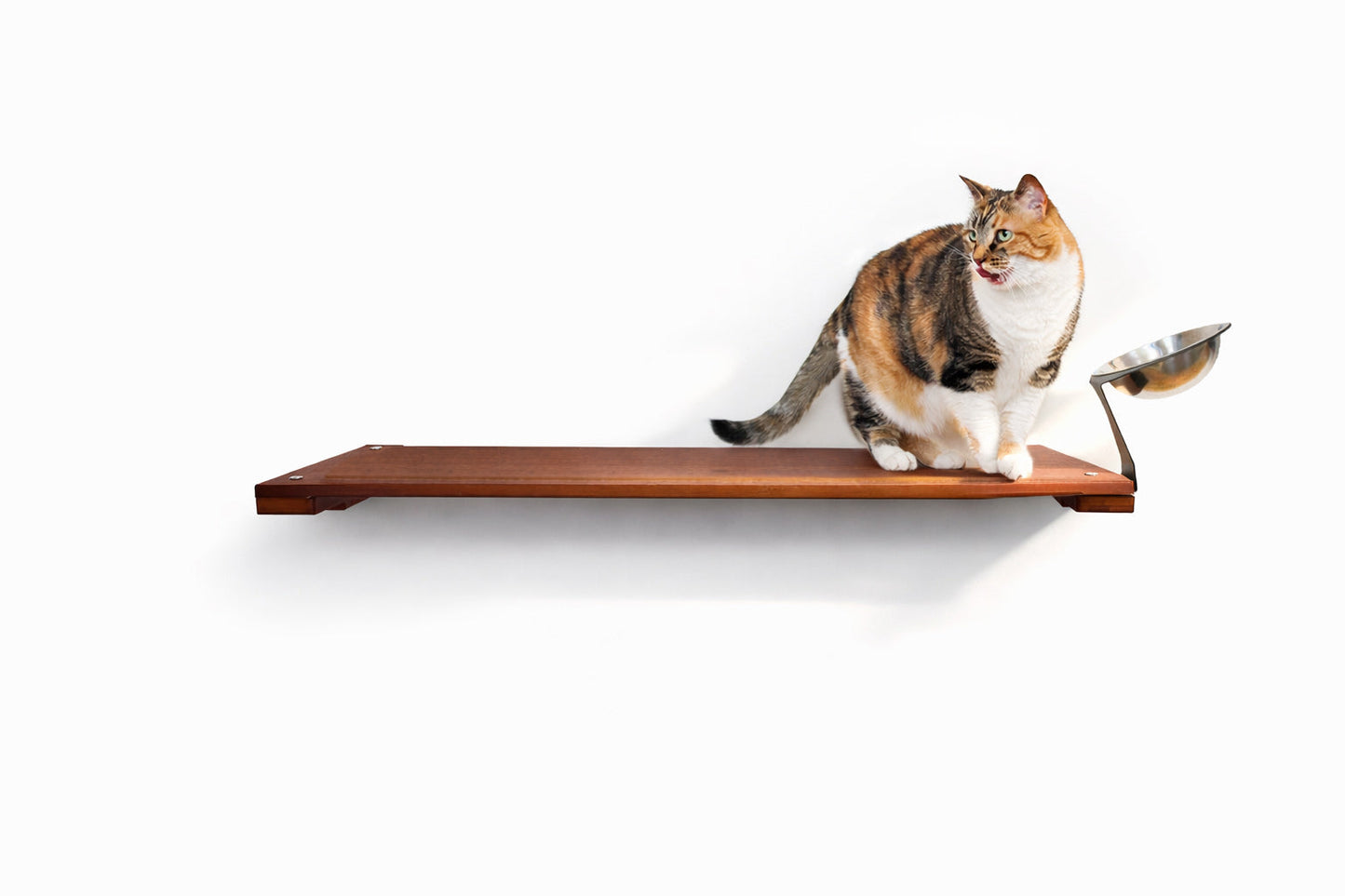 Wall Mounted Cat Feeding Shelf Elevated Onyx Bamboo 34" Slotted Escape Hatch Cat shelves/bed Catastrophic Creations