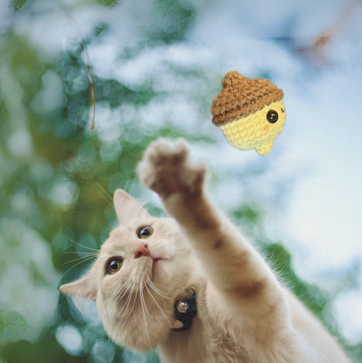 augie the acorn | weighted cat toy cat toy Chunkles