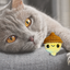 augie the acorn | weighted cat toy cat toy Chunkles