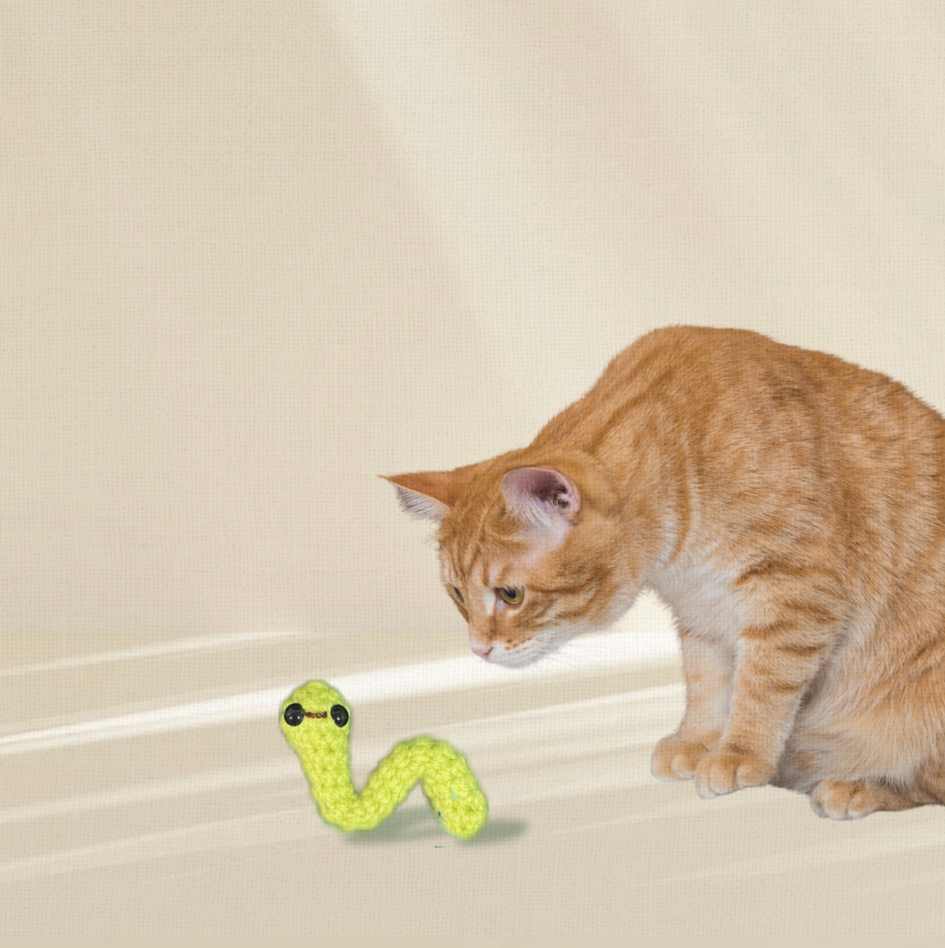 Noodle the inchworm | lightweight cat toy cat toy Chunkles