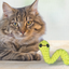 Noodle the inchworm | lightweight cat toy cat toy Chunkles