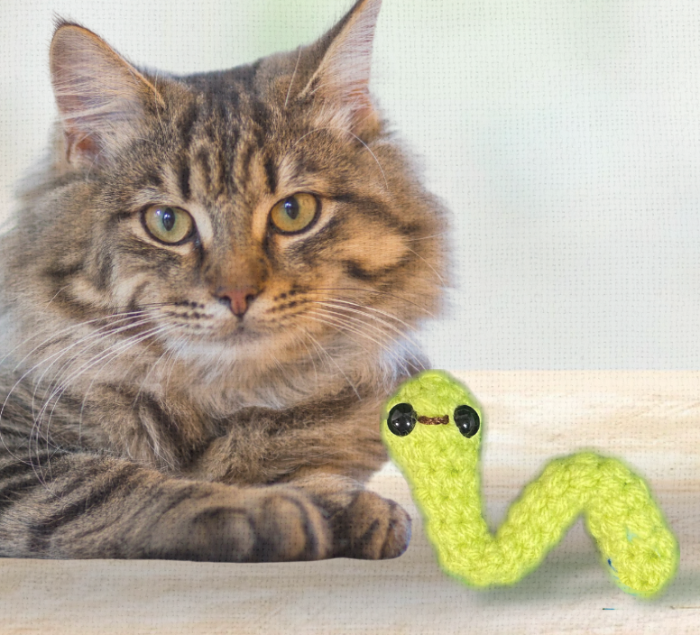 Noodle the inchworm | lightweight cat toy cat toy Chunkles