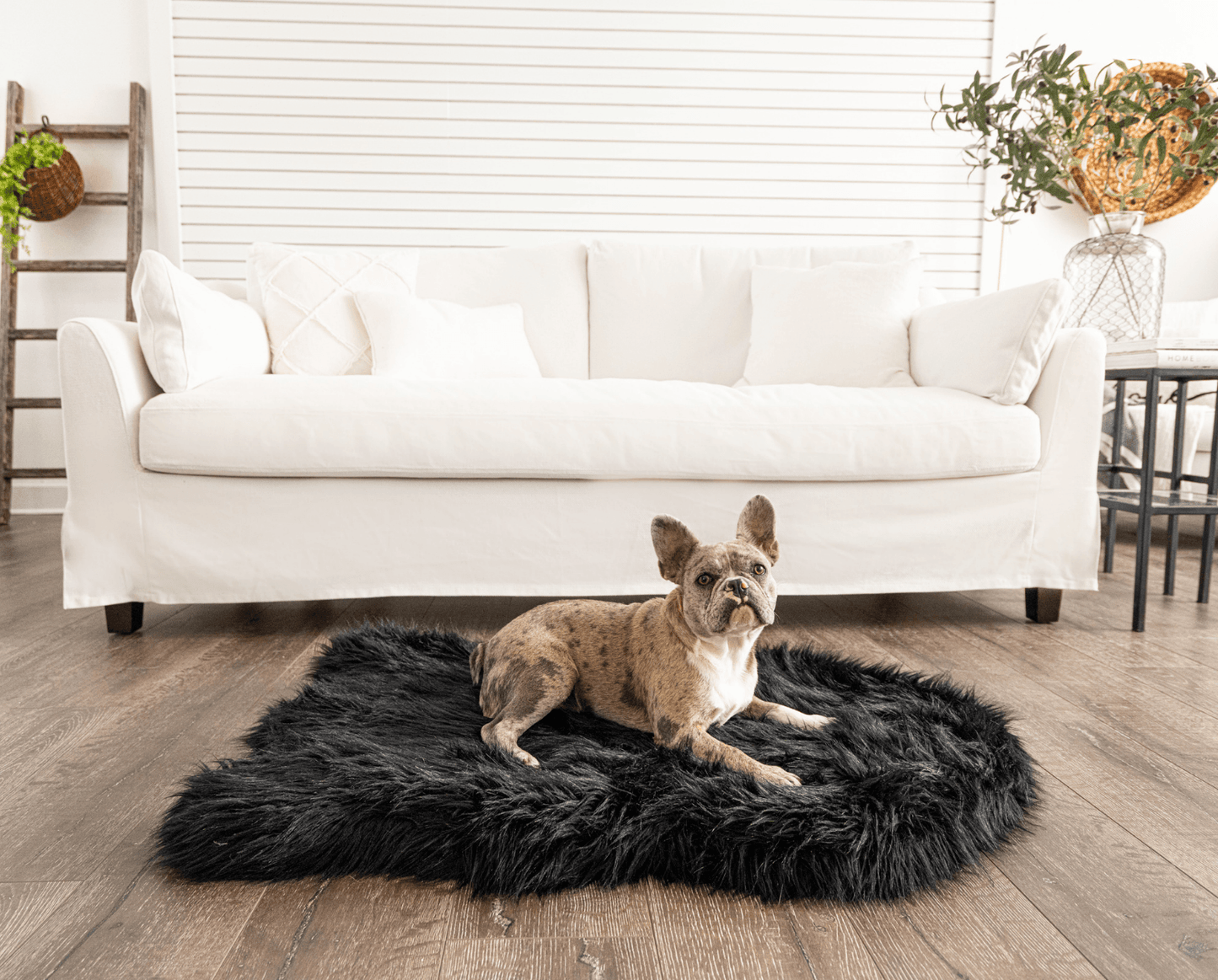 PupRug by Paw.com® Faux Fur Orthopedic Dog Bed - Curve Midnight Black Medium (40" L x 25" W) Dog Beds Paw.com