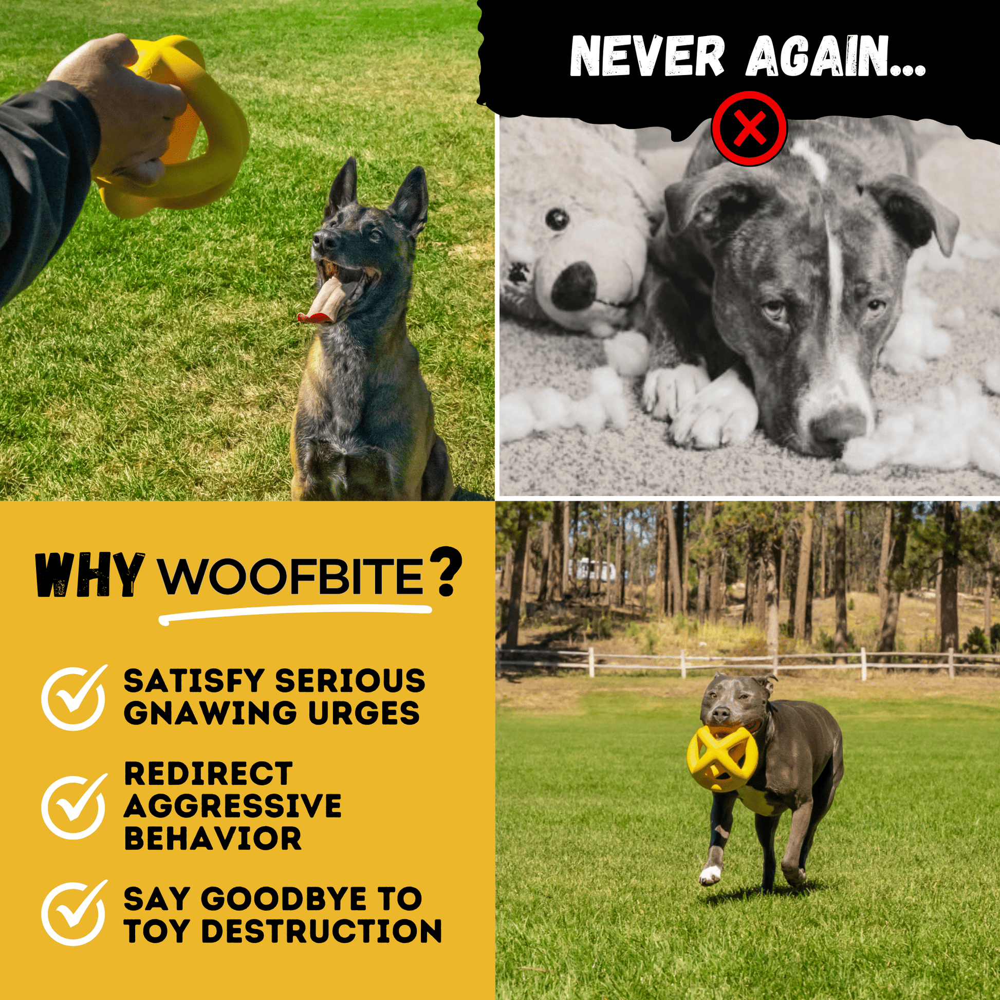 Giant Ring Ball Monster K9 Dog Toys