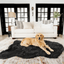 PupRug by Paw.com® Faux Fur Orthopedic Dog Bed - Curve Midnight Black Dog Beds Paw.com