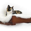 The Cat Nest Bed English Chestnut Bamboo Cream Plush 18" Solid Shelf Cat shelves/bed Catastrophic Creations