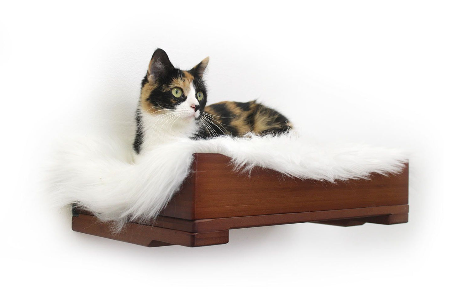 The Cat Nest Bed English Chestnut Bamboo Cream Plush 18" Solid Shelf Cat shelves/bed Catastrophic Creations