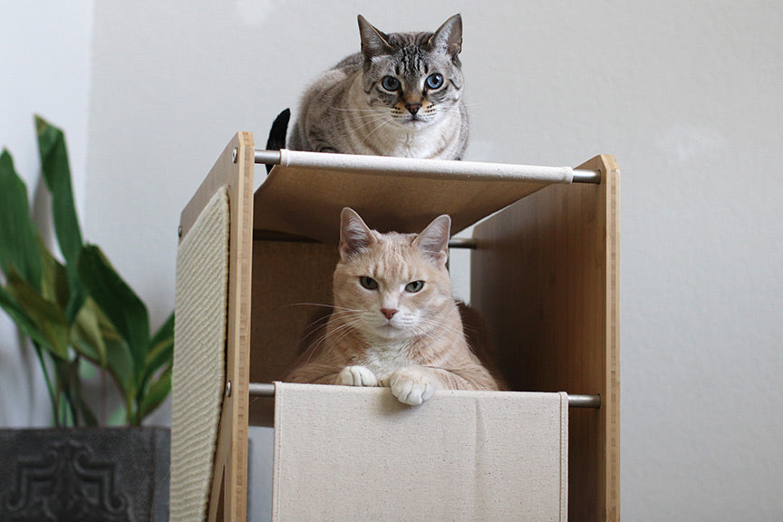 The Grotto - Short Cat Tree for Small Spaces Cat Condo Catastrophic Creations