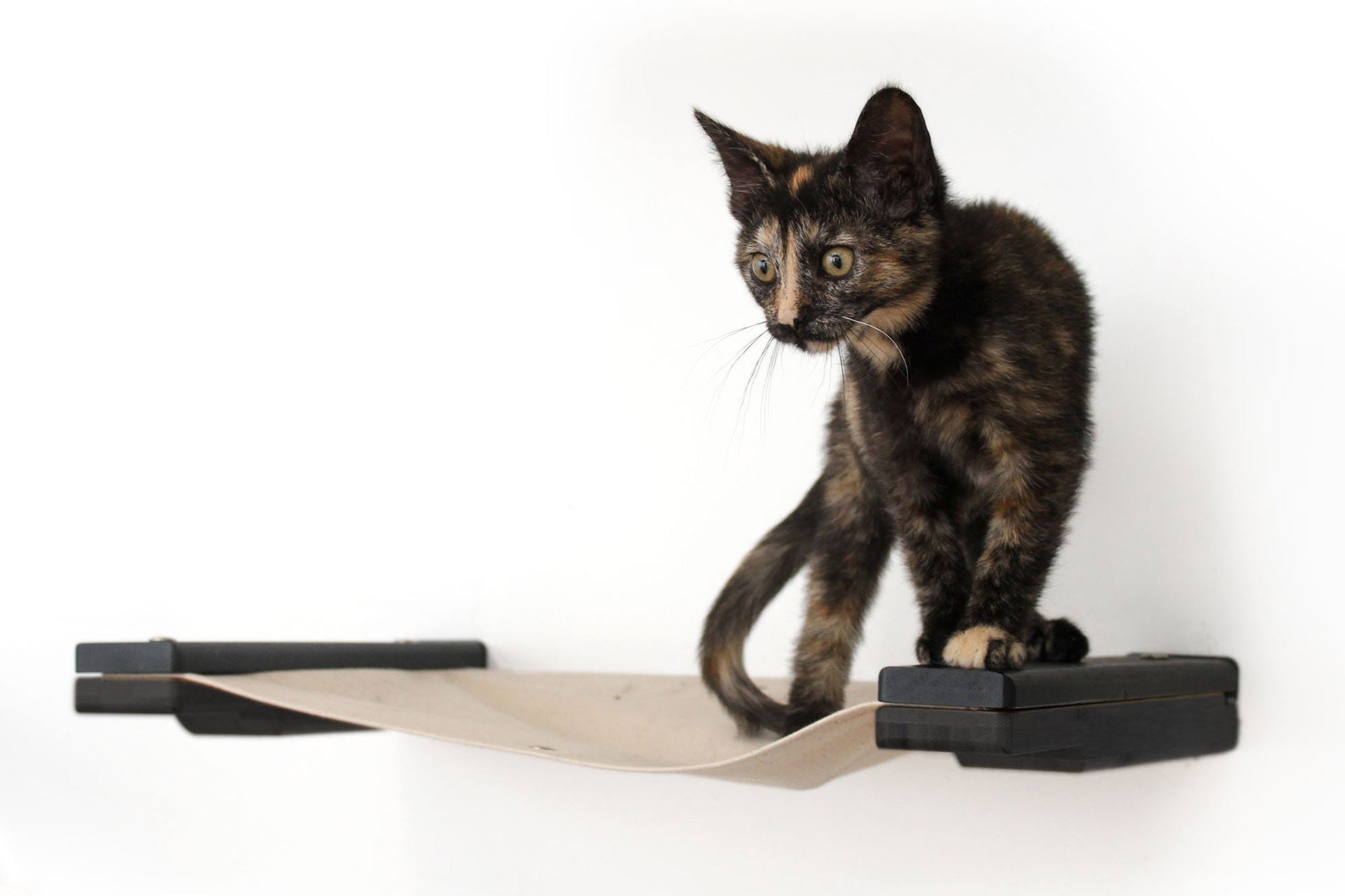 Hanging Cat Bed Hammock Cat Hammock Catastrophic Creations