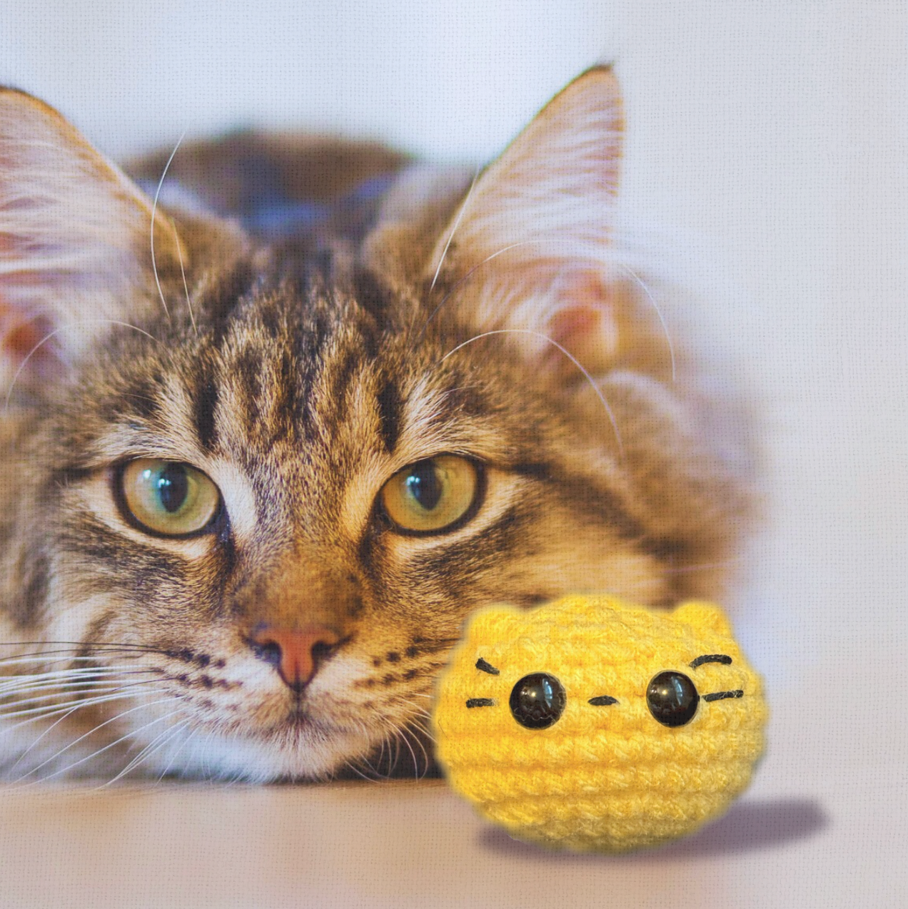 Pippa the chonk | weighted cat toy cat toy Chunkles