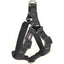 Comfort Microfiber Flat Step-In Dog Harness Black Dog Harnesses Dogline