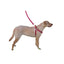 Comfort Microfiber Flat Step-In Dog Harness Dog Harnesses Dogline
