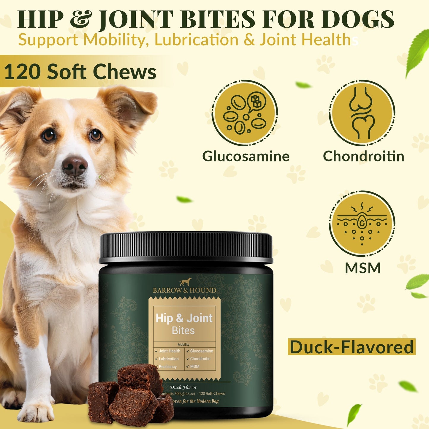Hip & Joint Supplement for Dogs – Mobility Support for All Breeds Supplements Barrow & Hound