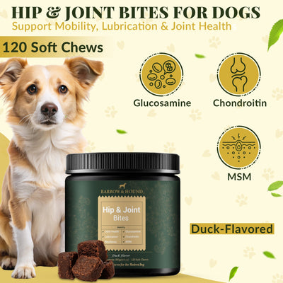 Hip & Joint Supplement for Dogs – Mobility Support for All Breeds Supplements Barrow & Hound