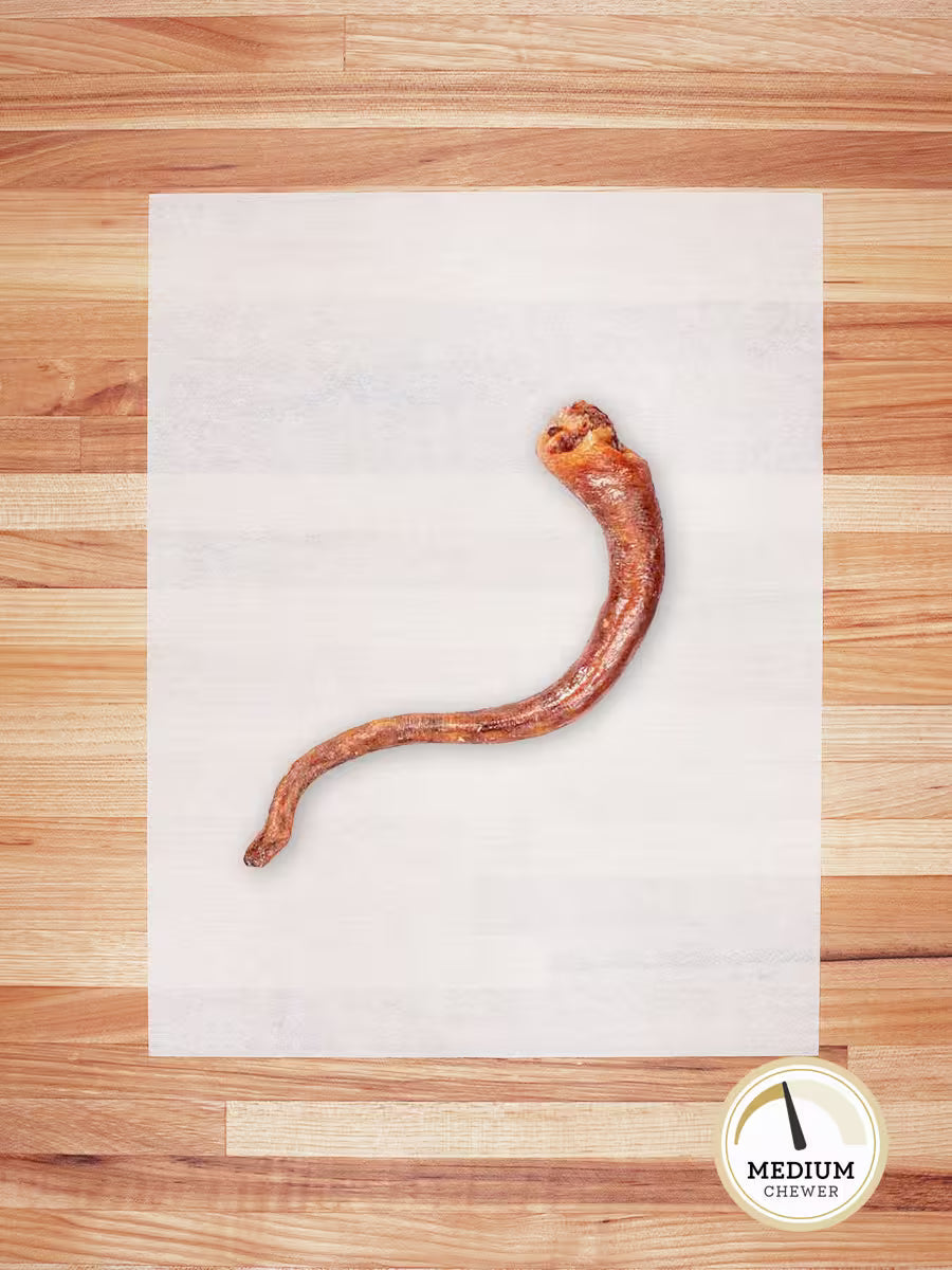 Hog Tail Chews Farm Hounds