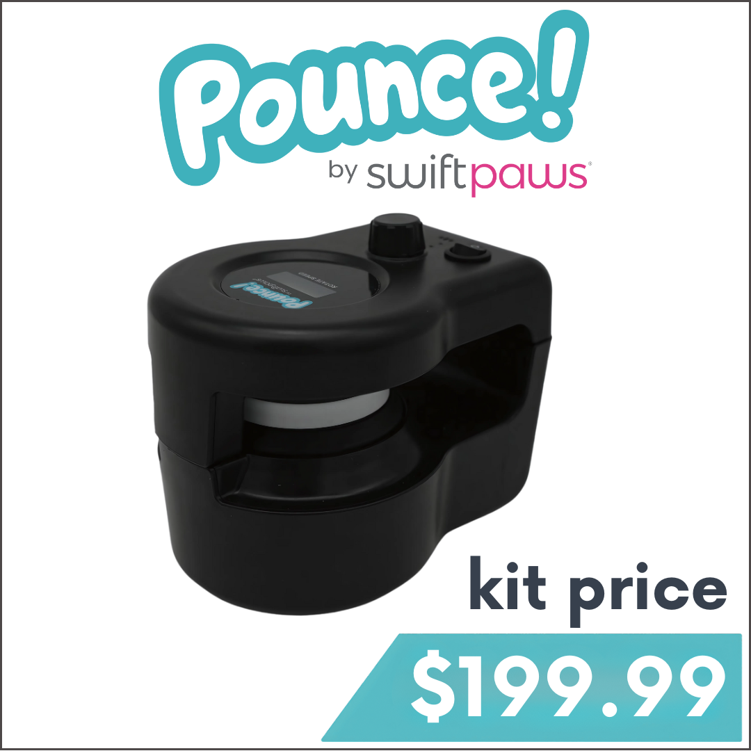Pounce! Kit Enrichment Product SwiftPaws