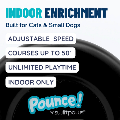 Pounce! Kit Enrichment Product SwiftPaws