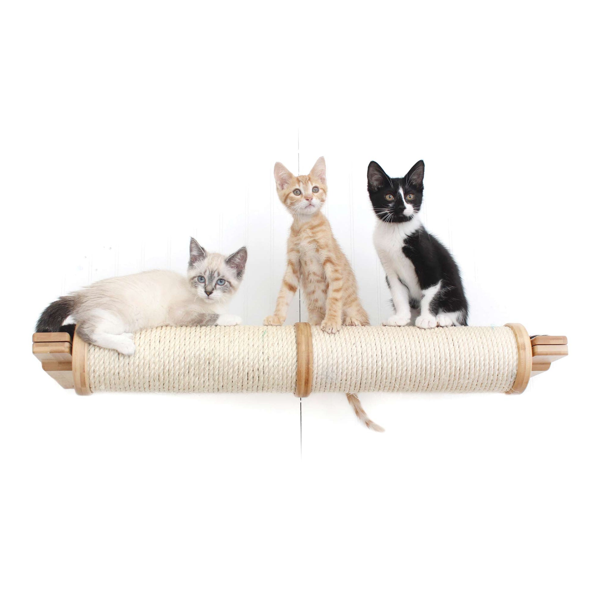 Horizontal Scratching Post for Cats Natural Bamboo 2-Tier Single Cat Scratcher Catastrophic Creations