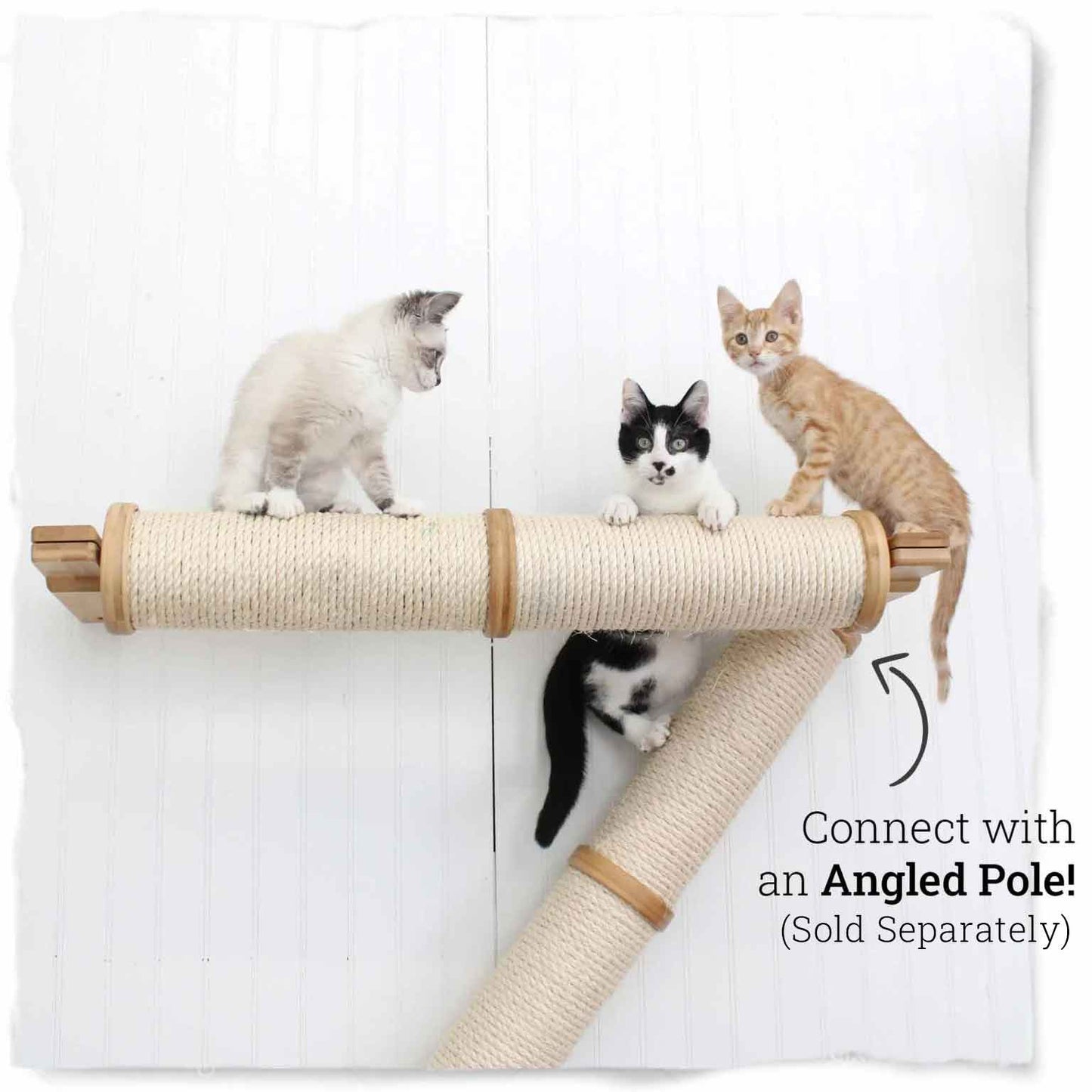 Horizontal Scratching Post for Cats Cat Scratcher Catastrophic Creations