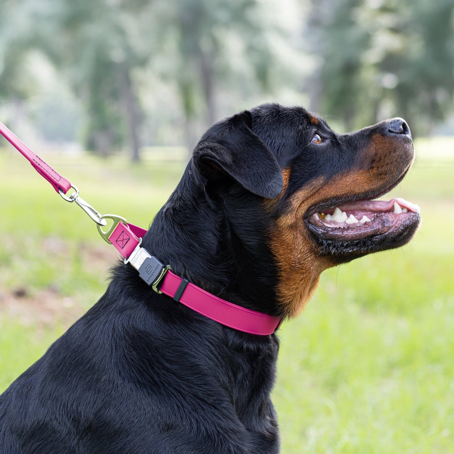 Dogline Biothane Waterproof Dog Collar with Herm Sprenger Stainless Steel Quick Release Buckle Dog Collar Dogline