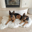 PupRug by Paw.com® Faux Fur Orthopedic Dog Bed - Curve Polar White Dog Beds Paw