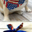 USA Dog Bandana Dog Bandana Happy Tails Outfitters