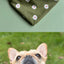 Daisy Dog Bandana Dog Bandana Happy Tails Outfitters