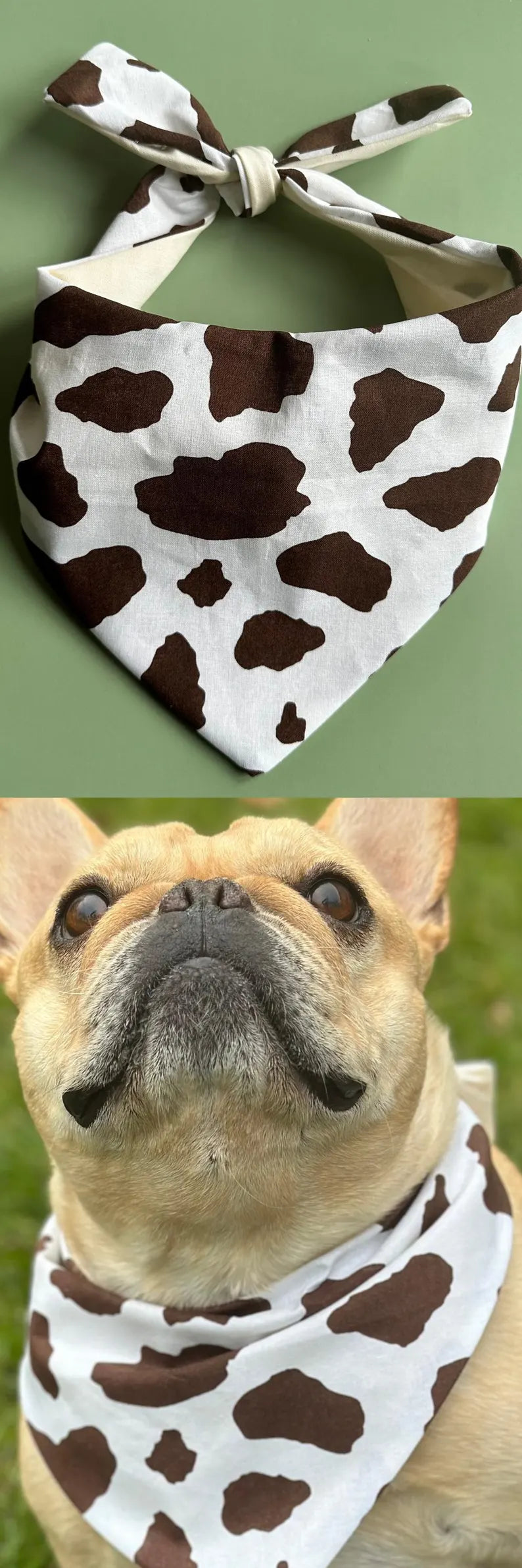 Cow Print Dog Bandana Dog Bandana Happy Tails Outfitters