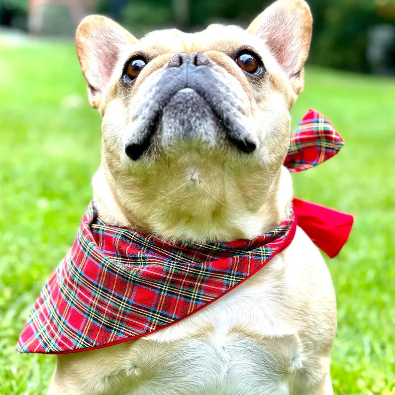 Classic Holliday Plaid Dog Bandana Dog Bandana Happy Tails Outfitters