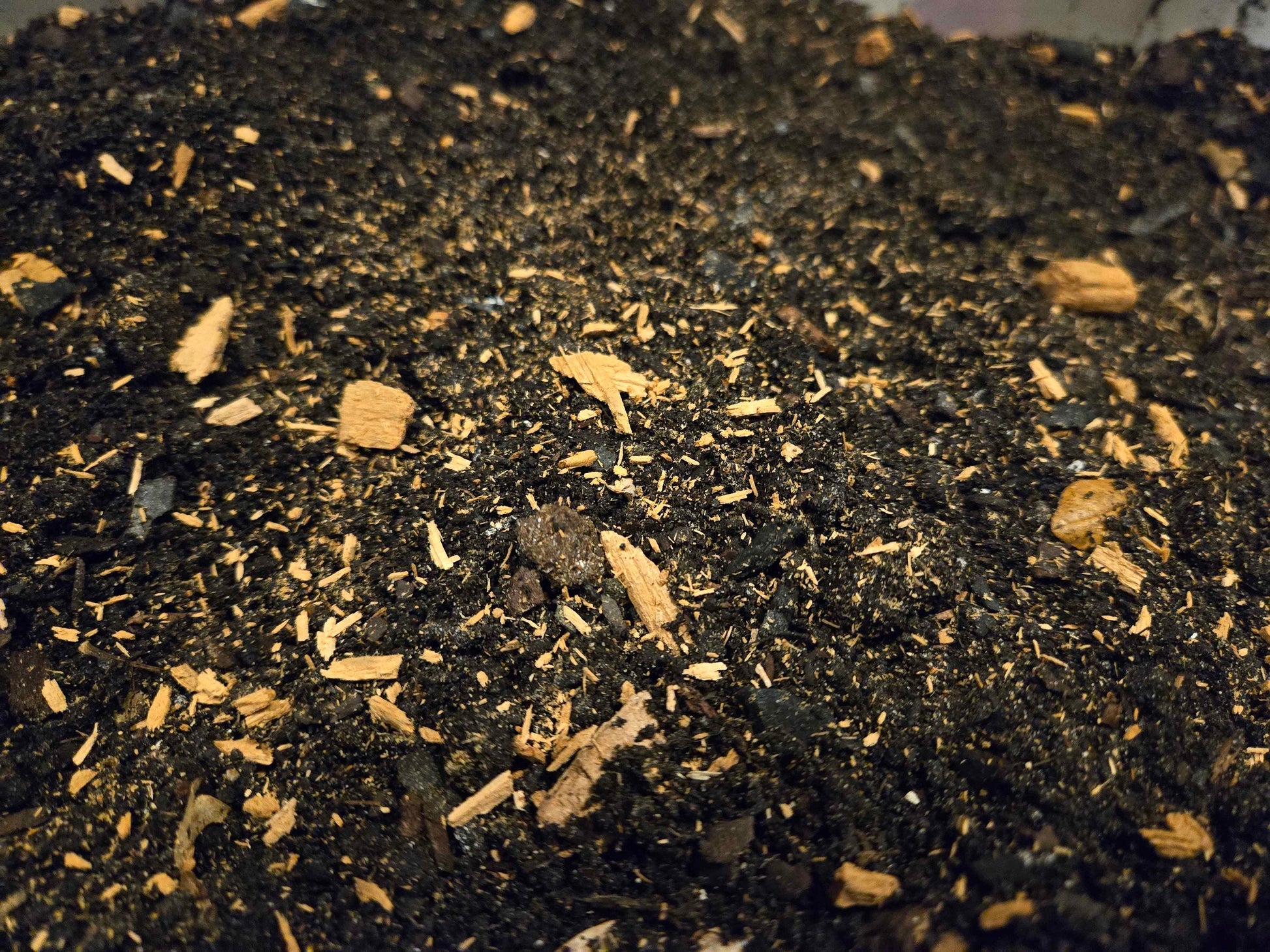 Premium Isopod Substrate - Promotes Healthy Growth and Breeding! Soil Shield Wall Exotics