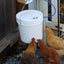 Automatic Chicken Waterer (2 Gallon) Chicken Waterer Farmer Brad