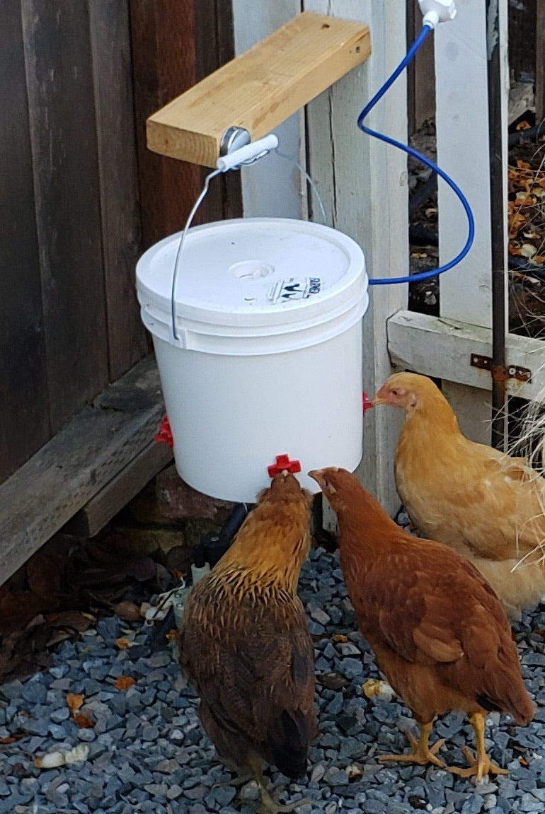 Automatic Chicken Waterer (2 Gallon) Chicken Waterer Farmer Brad