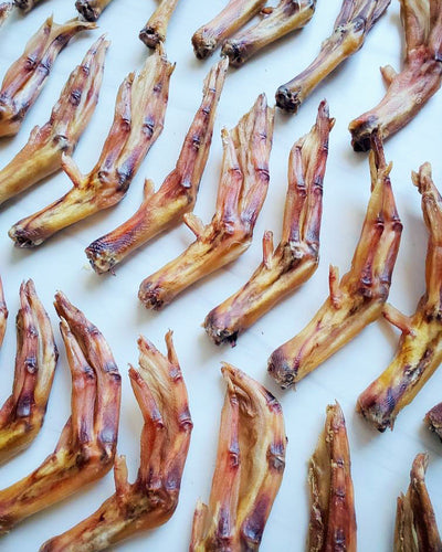 Duck Feet (ABF) Naked Beasts