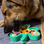 FreezShamrock - Premium Enrichment Toy Freezbone