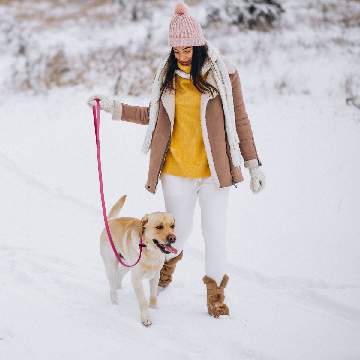 Viper Biothane Long Line 33 ft Lead with Brass Hardware Dog Leashes Dogline