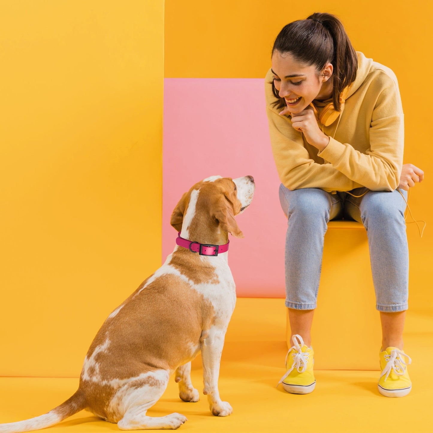 Biothane Waterproof Dog Collar - Medium (15 to 18 inches) Dog Collar Dogline