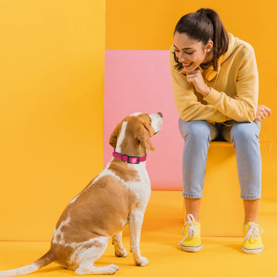 Biothane Waterproof Dog Collar - Medium (15 to 18 inches) Dog Collar Dogline