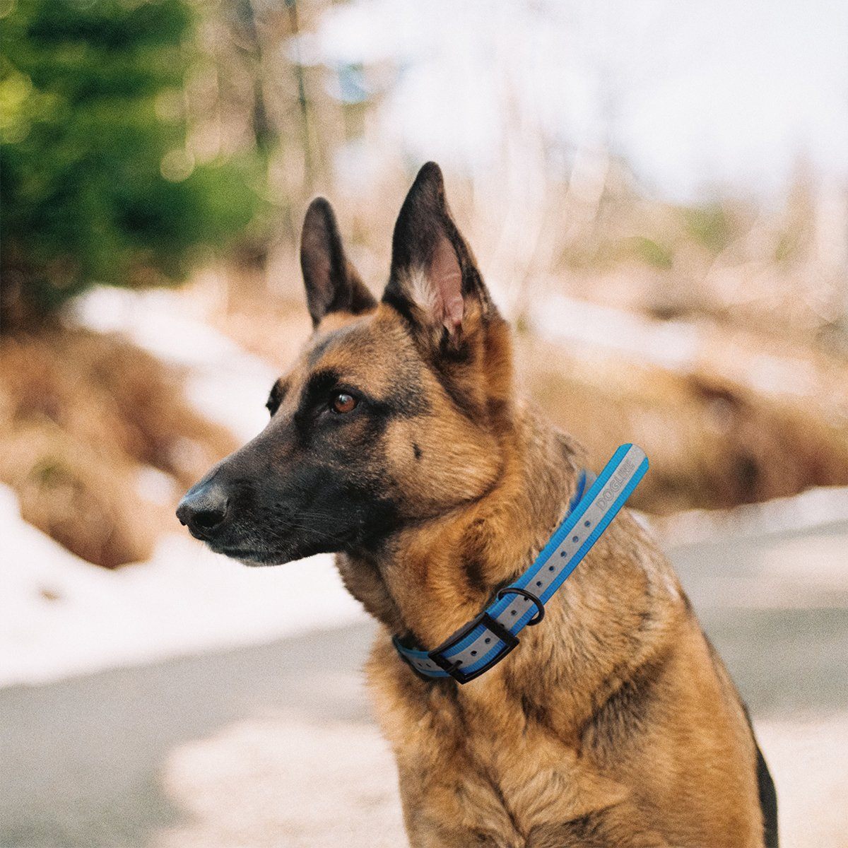 Biothane E-Collar Replacement Reflective Strap Dog Collar Dogline